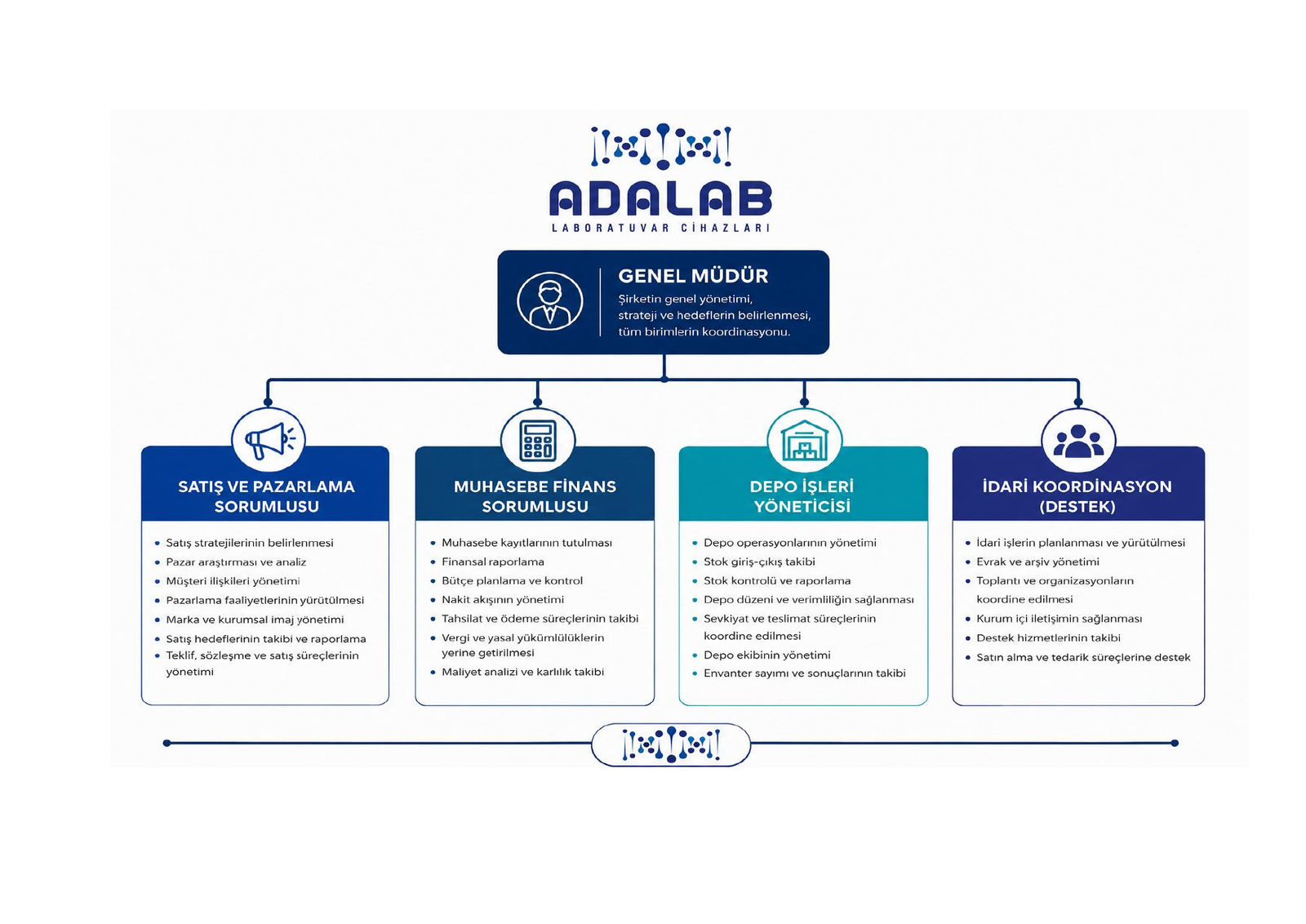 Adalab şirket organizasyon şeması
